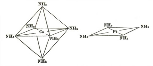 Immagine2 Sestini Funaro 300dpi.jpg