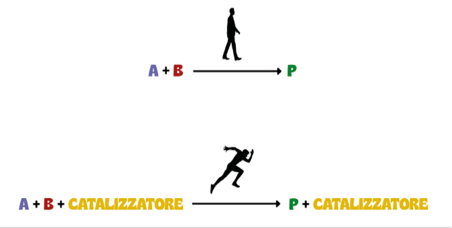 Immagine che contiene schermata, sciare
Il contenuto generato dall'IA potrebbe non essere corretto.