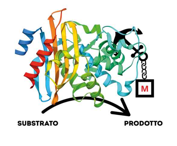 Immagine che contiene Elementi grafici, grafica, disegno, clipart
Il contenuto generato dall'IA potrebbe non essere corretto.