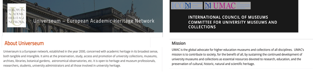 Immagine che contiene testo, schermata, Sito Web
Il contenuto generato dall'IA potrebbe non essere corretto.