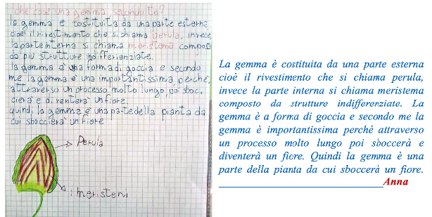Immagine che contiene testo, calligrafia, schermata, menu
Il contenuto generato dall'IA potrebbe non essere corretto.