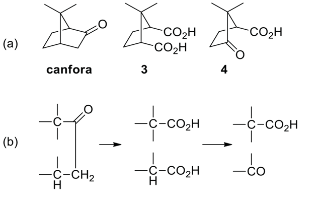 Immagine che contiene nero, oscurità
Il contenuto generato dall'IA potrebbe non essere corretto.