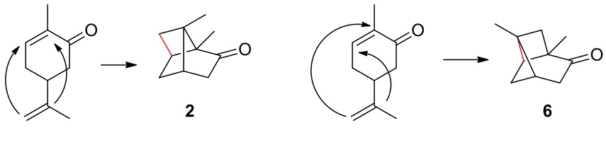 Immagine che contiene oscurità, nero, schermata
Il contenuto generato dall'IA potrebbe non essere corretto.