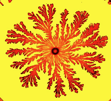 Immagine che contiene giallo, fiore
Il contenuto generato dall'IA potrebbe non essere corretto.