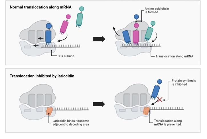 Immagine che contiene diagramma, schermata, testo, design
Il contenuto generato dall'IA potrebbe non essere corretto.