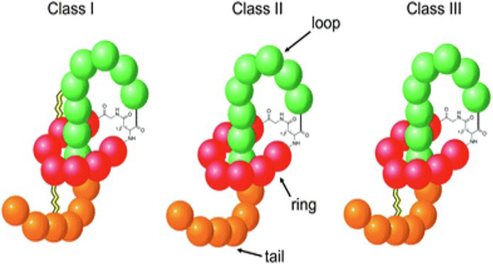 Immagine che contiene pallone
Il contenuto generato dall'IA potrebbe non essere corretto.