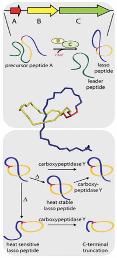 Immagine che contiene testo, diagramma, schermata, Carattere
Il contenuto generato dall'IA potrebbe non essere corretto.